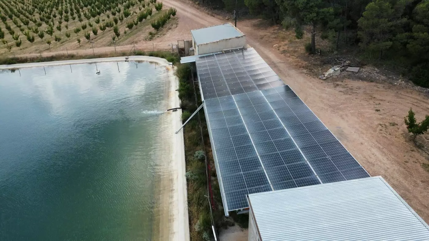 Finca agrícola en Cehegín